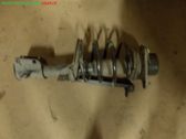 Amortiguador delantero con muelle espiral