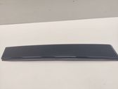 Door glass trim
