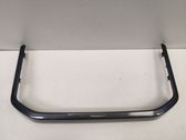Radio/GPS head unit trim