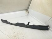 Front fog light trim/grill