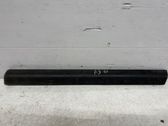 Rear door trim (molding)