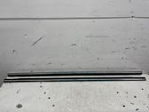 Rear door glass trim molding