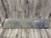 Rear door trim (molding)
