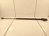 Tailgate/trunk strut/damper