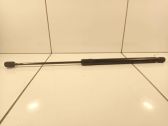 Tailgate/trunk strut/damper