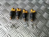 Fuel injectors set