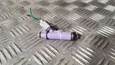 Injecteur de carburant