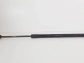 Tailgate/trunk strut/damper