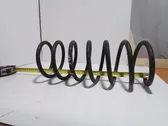 Front coil spring