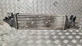 Radiador intercooler