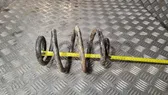 Rear coil spring