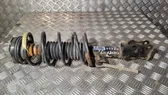 Front shock absorber with coil spring