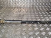Rear shock absorber/damper