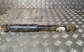 Rear shock absorber/damper