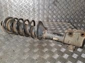 Rear shock absorber with coil spring