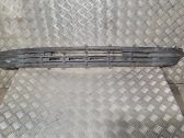 Front bumper lower grill
