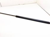Front bonnet/hood damper/strut