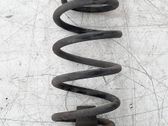 Rear coil spring
