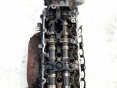 Culata del motor