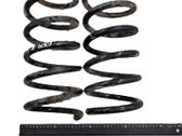 Front coil spring