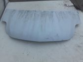 Engine bonnet/hood