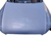 Engine bonnet/hood
