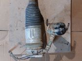 Stoßdämpfer hinten