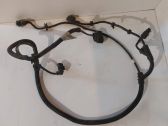 Other wiring loom