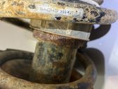 Front shock absorber with coil spring