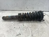 Rear shock absorber with coil spring