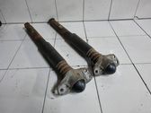 Rear shock absorber/damper