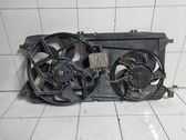 Electric radiator cooling fan