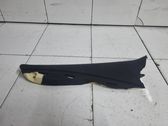 (C) pillar trim