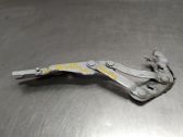 Bisagras del capó/tapa del motor