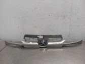 Grille de calandre avant