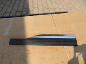 Rear door trim (molding)