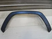 Fender trim (molding)