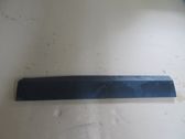 Moulure de porte avant