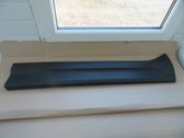 Front door trim (molding)