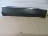 Front door trim (molding)