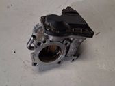 Throttle body valve
