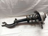 Front shock absorber with coil spring