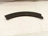 Fender trim (molding)