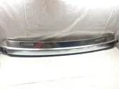 Windshield trim