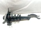 Front shock absorber with coil spring