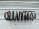 Rear coil spring