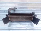 Radiador intercooler