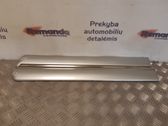 Rear door trim (molding)