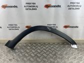 Fender trim (molding)