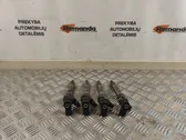 LP gas injectors set